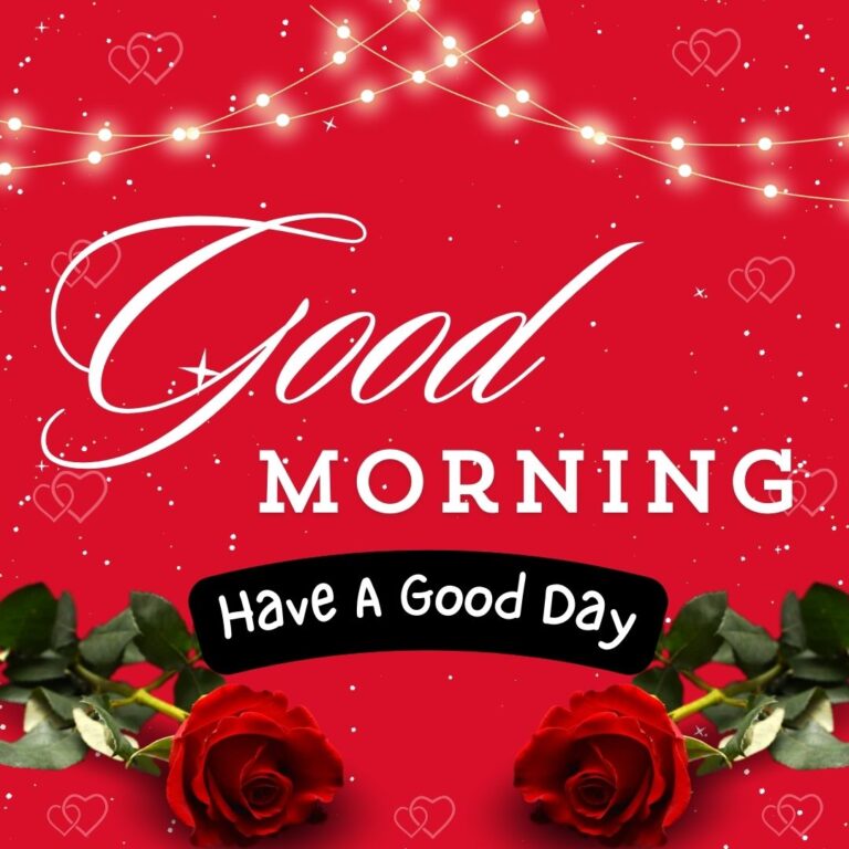 Cute Flower Images For Dp_2_0